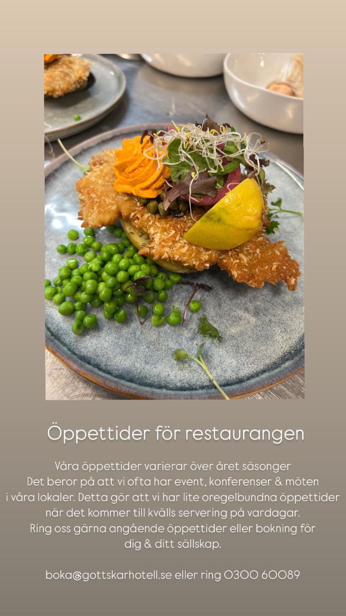 Gottskaer Konferens - Event & Logi Hotel Onsala Buitenkant foto